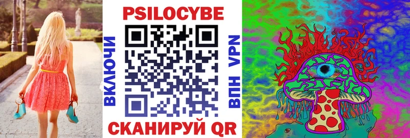магазин продажи   Нальчик  Псилоцибиновые грибы прущие грибы 